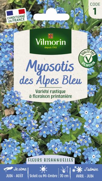 Fleurs - Myosotis des Alpes Bleu - PACKAGING_RECTO
